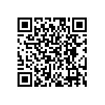 EW-09-09-L-S-300 QRCode