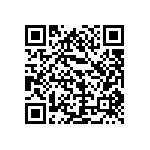 F339X132248KFI2B0 QRCode