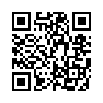 FCE17E09PC65B QRCode