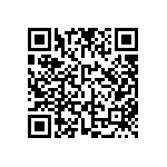 FW-04-04-F-D-313-137 QRCode