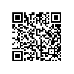 FW-06-04-F-D-250-250 QRCode