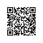 FW-13-04-G-D-538-075 QRCode