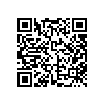 FW-13-04-L-D-300-378 QRCode