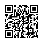 GBC13DREN-S93 QRCode