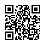 GEV28033 QRCode