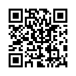 H4P300KFCA QRCode