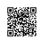 HE30806T2139PD7M QRCode