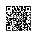 HE30807T2139PB6M QRCode