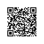 ICE3B0365JFKLA1 QRCode