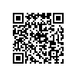 ICE3B3065PBKSA1 QRCode