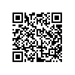 JW-12-04-T-S-450-250 QRCode