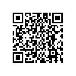 JW-24-04-T-S-250-250 QRCode