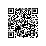 K333Z10Y5VF53L2 QRCode