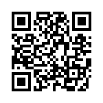 KP0101510000G QRCode