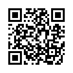 L-14C24NKV4T QRCode