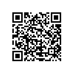 L17DM5374220175 QRCode