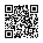 L17DM537451 QRCode