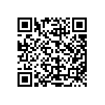 L2C2-30901205E1300 QRCode