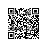 L717TWB5W5PP2YRM53 QRCode