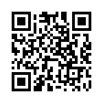 LEB100F-0536-Y QRCode