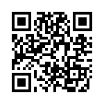 LL101B-13 QRCode