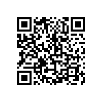 LV242999-142T12 QRCode