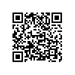 M55342H05B174DRWS QRCode