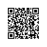 M55342K02B2B00RWS QRCode