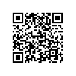 M55342K03B19B3RWS QRCode