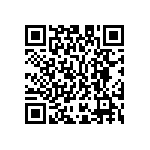 M55342K03B2B98RWS QRCode