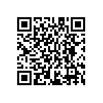 M55342K03B39K2RT0V QRCode