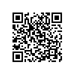 M55342K03B49D9RWSV QRCode