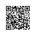 M55342K03B61B9RT5 QRCode