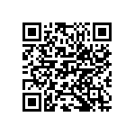 M55342K04B17B2RWS QRCode