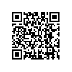 M55342K04B30B1RT5 QRCode