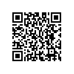 M55342K06B17B4RWS QRCode