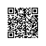 M55342K06B49D9RWSV QRCode