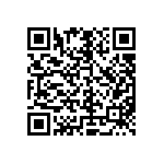 M55342K06B49E9PTSV QRCode