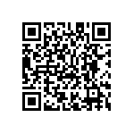 M55342K09B3T00PWSV QRCode