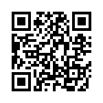 MK80FN256VDC15 QRCode