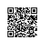 MKP385336063JC02H0 QRCode