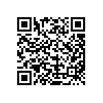 MKP385413063JF02W0 QRCode