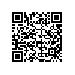 MKP385513160JPM2T0 QRCode