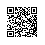 MP22T1-C24-4070-T2-2-00 QRCode