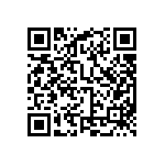 MP4-1D-1E-1L-4LH-00 QRCode