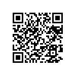 MP4-1E-1Q-1Q-4NN-4NN-00 QRCode