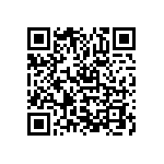 NKN100JR-73-1R3 QRCode