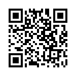 OQ13A0800000G QRCode