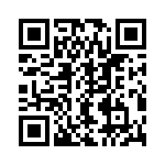 OSTT4112450 QRCode