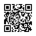 P1013NSE2EFB QRCode